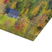 Planche À Découper États-Unis, Vermont. Feuillage d'automne le long d (Coin)