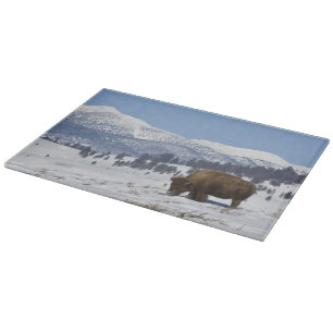 Planche À Découper États-Unis, WY, Parc national de Yellowstone, Biso