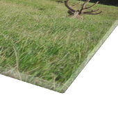 Planche À Découper Étiquettes de la Nouvelle-Zélande (Coin)