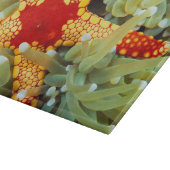 Planche À Découper Étoile de mer rouge et jaune (Coin)