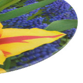 Planche À Découper Europe, Pays-Bas, Lisse.Tulipe (Coin)