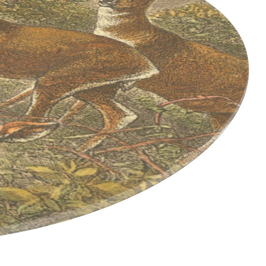 Planche À Découper Famille de Roe - Cerfs dans une forêt (Coin)