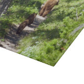 Planche À Découper Famille d'ours bruns (Coin)