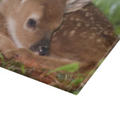 Planche À Découper Faon de Cerf à queue blanche âgé de deux jours, Ke (Coin)