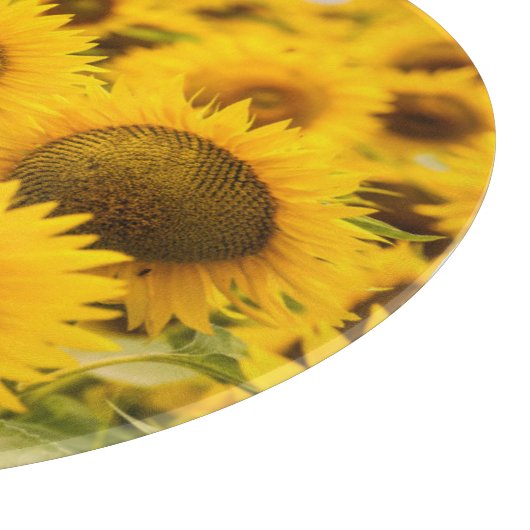 Planche À Découper Farms | A Sunflower (Coin)