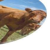 Planche À Découper Farms | Brown Cow (Coin)