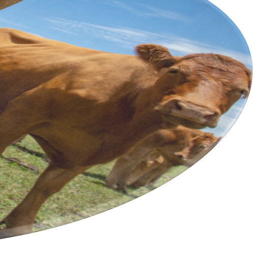 Planche À Découper Farms | Brown Cow (Coin)