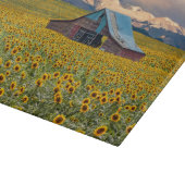 Planche À Découper Farms | Field (Coin)