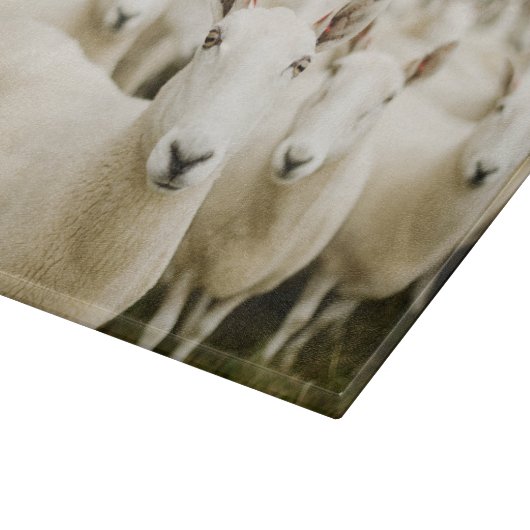 Planche À Découper Farms | Herd of Sheep (Coin)