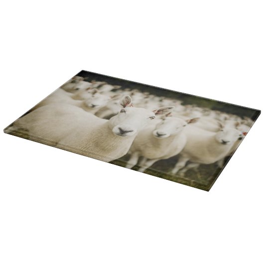 Planche À Découper Farms | Herd of Sheep (Coin)