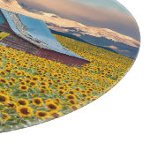 Planche À Découper Farms | Sunflower Field (Coin)