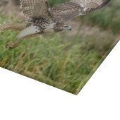 Planche À Découper Faucon coupé la queue par rouge non mûr (Coin)