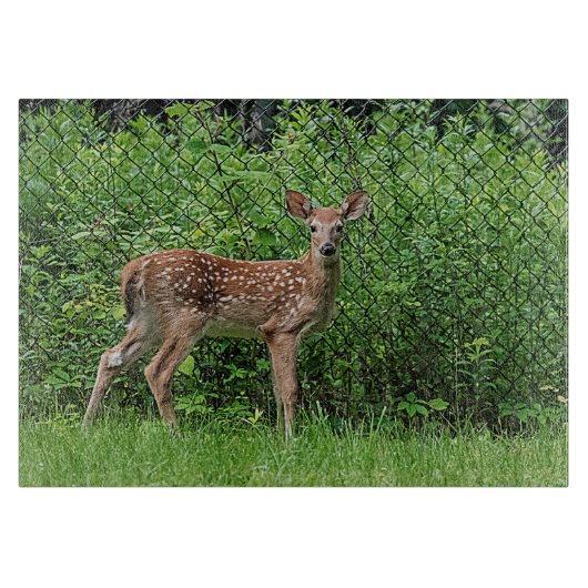 Planche À Découper Faune devant une clôture (Devant)