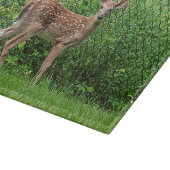 Planche À Découper Faune devant une clôture (Coin)