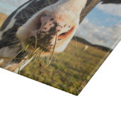 Planche À Découper Fermes | Vache Holstein Chewing (Coin)
