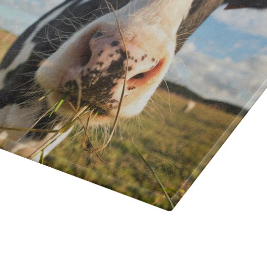 Planche À Découper Fermes | Vache Holstein Chewing (Coin)
