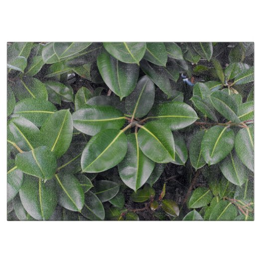 Planche À Découper Fermeture de l'arbre en caoutchouc (Devant)