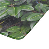 Planche À Découper Fermeture de l'arbre en caoutchouc (Coin)