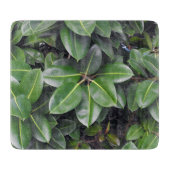 Planche À Découper Fermeture de l'arbre en caoutchouc (Devant)