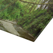 Planche À Découper Fern Canyon I au Redwood National Park (Coin)