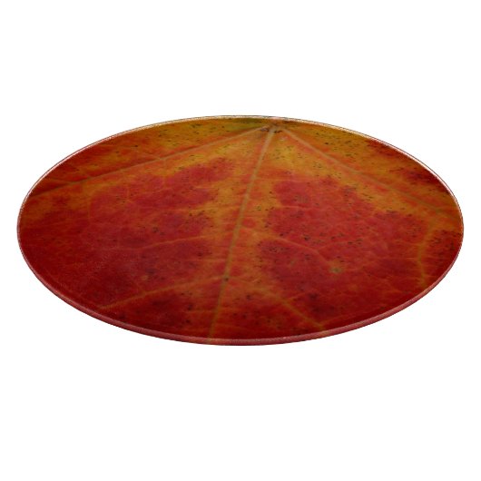 Planche À Découper Feuille d'érable rouge Abstraite Automne Photograp (Coin)