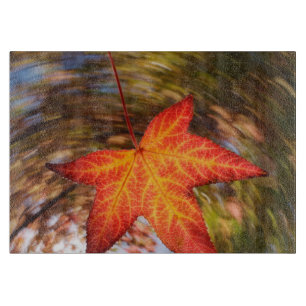 Planche À Découper Feuille tombante d'un arbre en automne