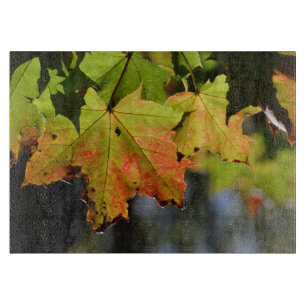Planche À Découper Feuilles de chute colorées