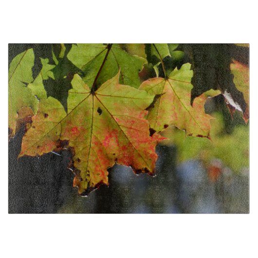 Planche À Découper Feuilles de chute colorées (Devant)