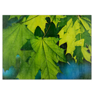 Planche À Découper Feuilles fraîches de érable vert