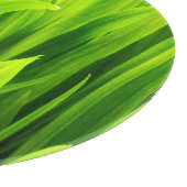 Planche À Découper Feuilles rétroéclairés dans le jardin (Coin)