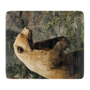 Planche À Découper Fière Ours