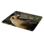 Planche À Découper Fière Ours (Coin)