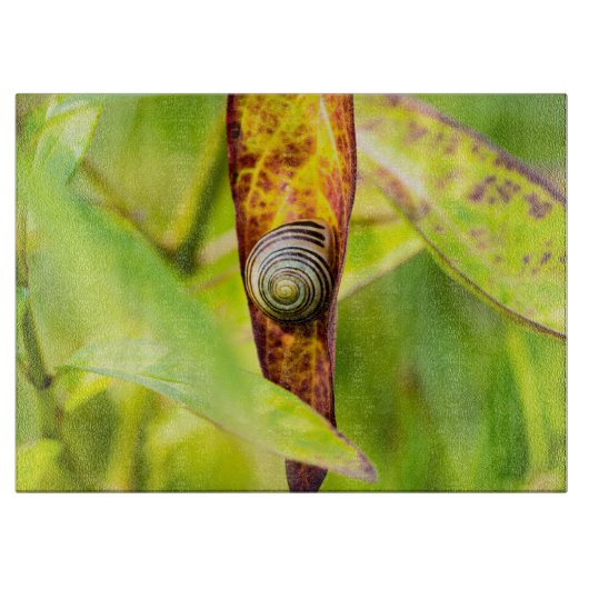 Planche À Découper fixation calme (Devant)