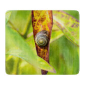 Planche À Découper fixation calme (Devant)