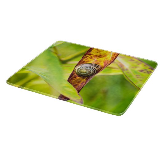 Planche À Découper fixation calme (Coin)