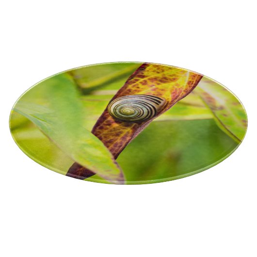 Planche À Découper fixation calme (Coin)