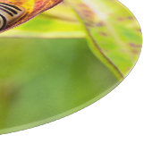 Planche À Découper fixation calme (Coin)