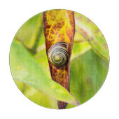 Planche À Découper fixation calme (Devant)