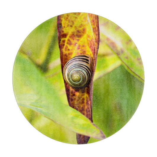 Planche À Découper fixation calme (Devant)