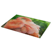 Planche À Découper Flamingo Bird Art Glass Cutting Board (Coin)