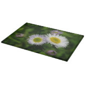 Planche À Découper Fleabane sauvage Fleurs de marais Nature (Coin)