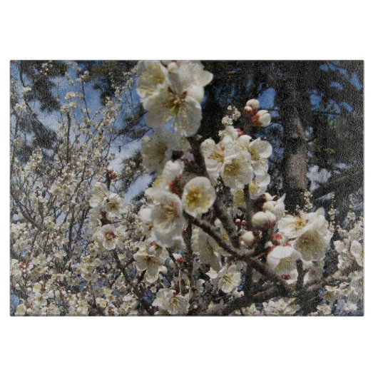 Planche À Découper Fleur de cerisier blanc / Sakura / ク(桜) (Devant)