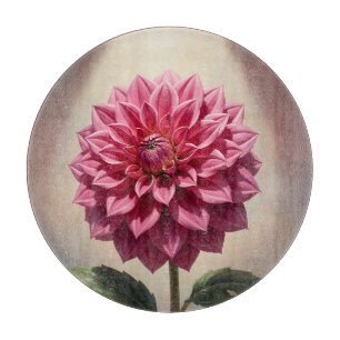 Planche À Découper Fleur de Dahlia Rose Botanique