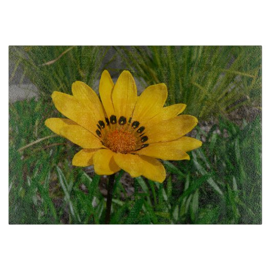 Planche À Découper Fleur de Gazania jaune (Devant)