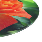 Planche À Découper Fleur de rose de la nature-46458 (Coin)