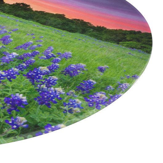 Planche À Découper Fleurs | Bluebonnets à Sunset Texas (Coin)