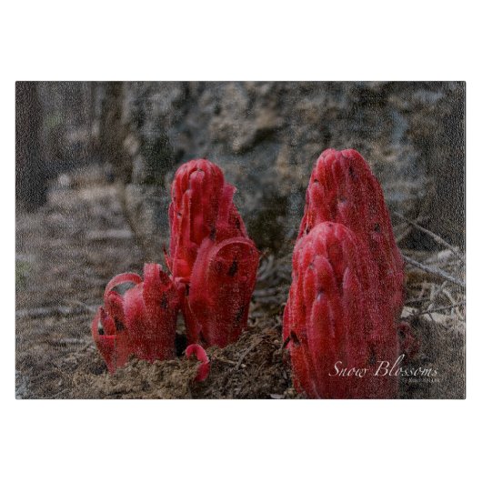 Planche À Découper Fleurs de neige (Devant)