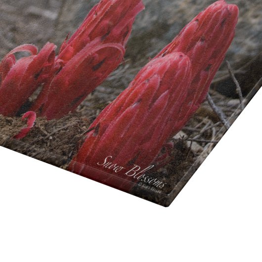 Planche À Découper Fleurs de neige (Coin)