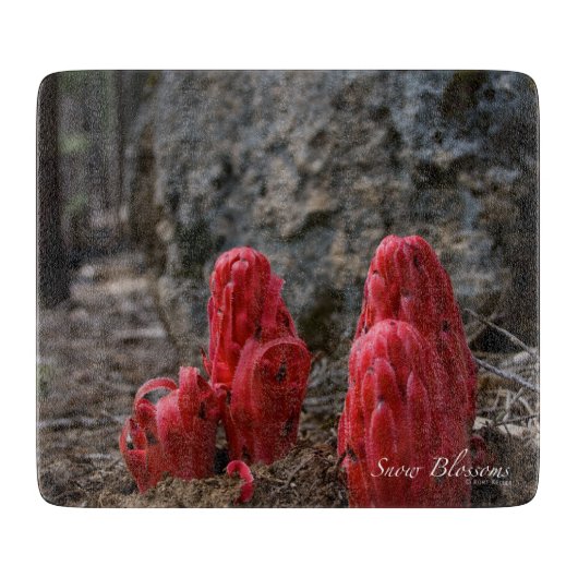 Planche À Découper Fleurs de neige (Devant)