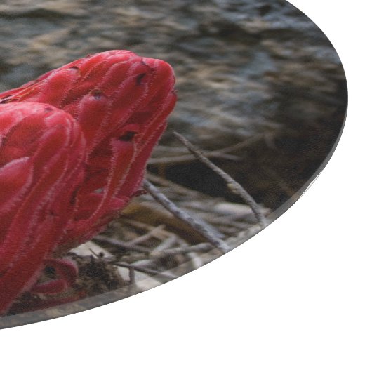 Planche À Découper Fleurs de neige (Coin)